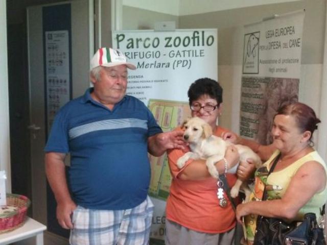 Buona vita, cucciolo!